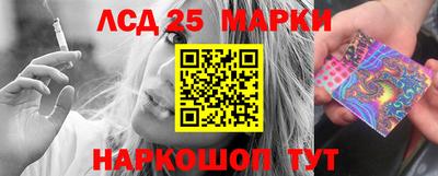 гашик Донской