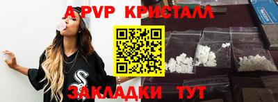 гашик Донской