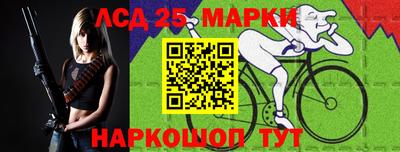 гашик Донской