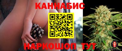гашик Донской