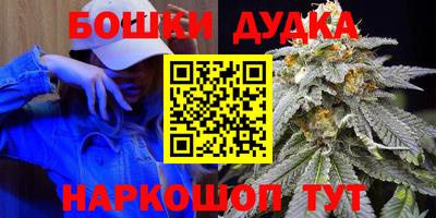 гашик Донской