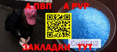 гашик Донской