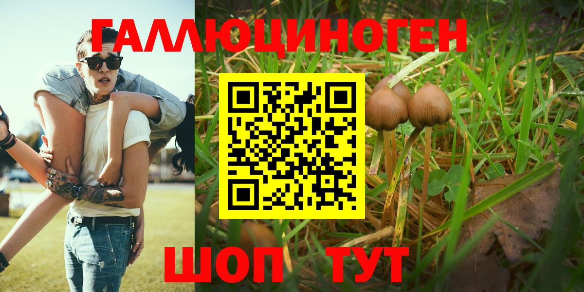 Галлюциногенные грибы прущие грибы Махачкала